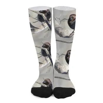 Буроголовый ковбоек ~ Красиви чорапи-вредители, забавен чорап, спортни чорапи в стил хип-хоп, мъжки